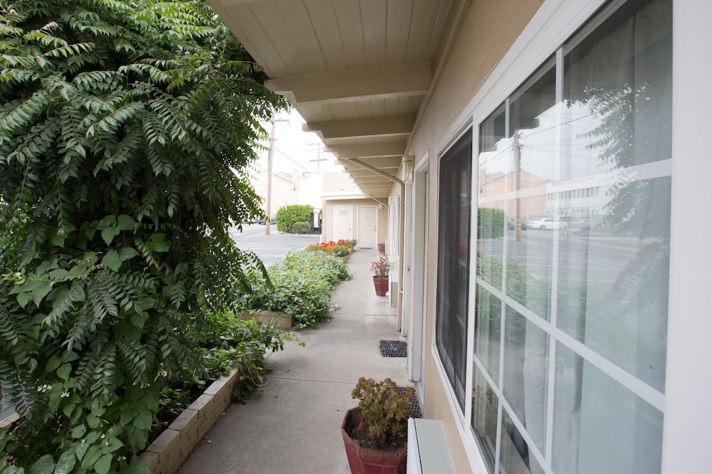 San Carlos Inn - photo 18