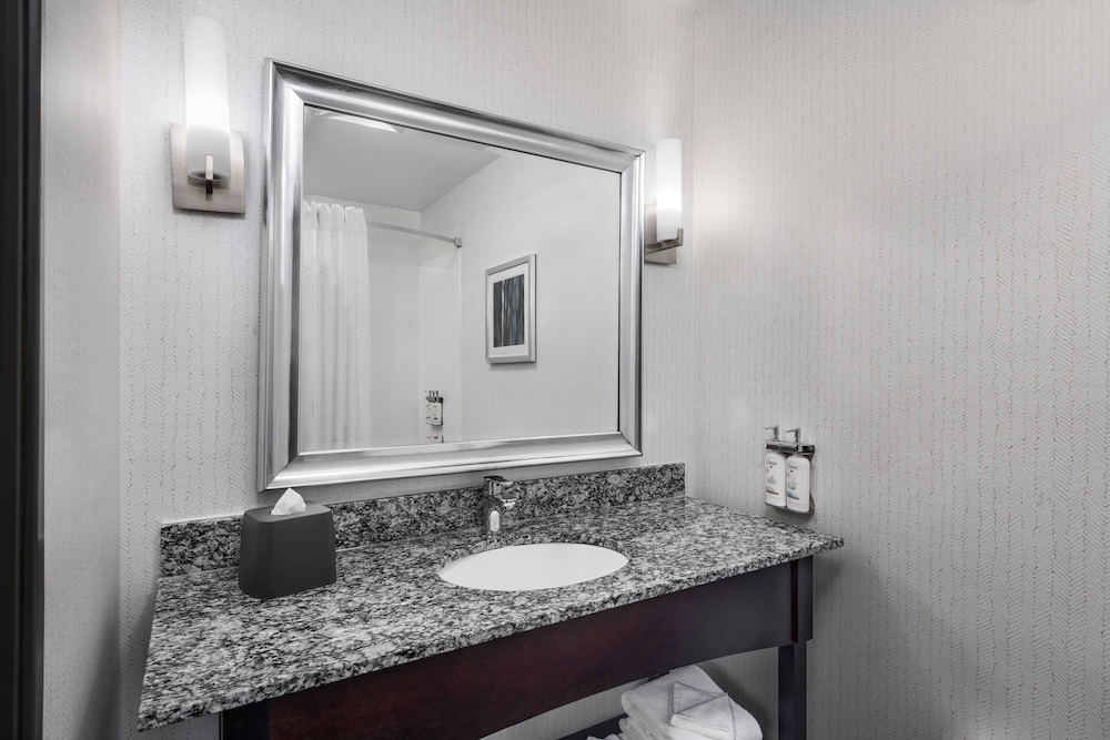 Holiday Inn Carlsbad by IHG - photo 23