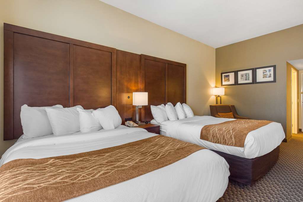 Comfort Inn & Suites SW Houston Sugarland - photo 10