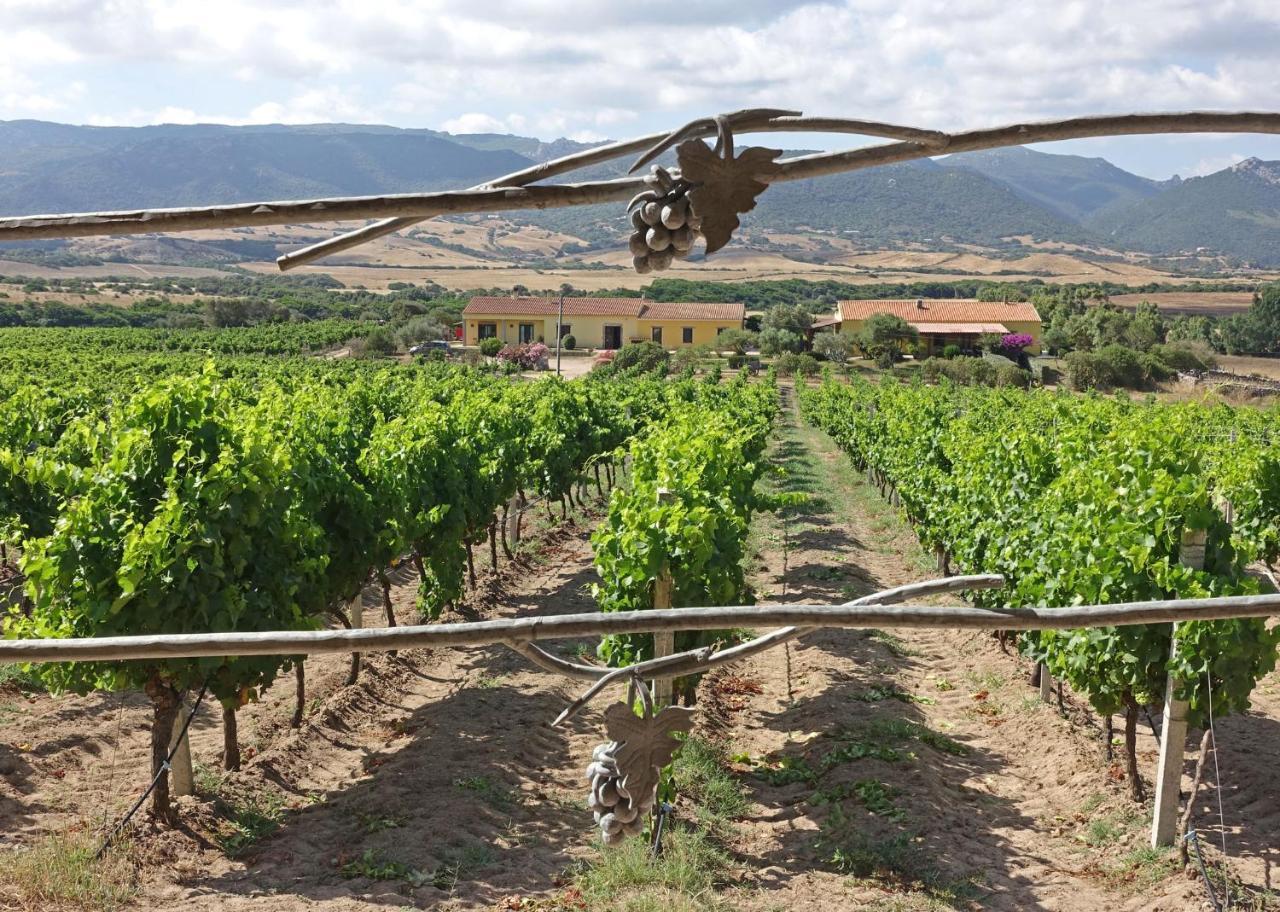 Agriturismo Campesi casale tra le vigne — 4-Star Luxury Hotel in Aglientu, Italy