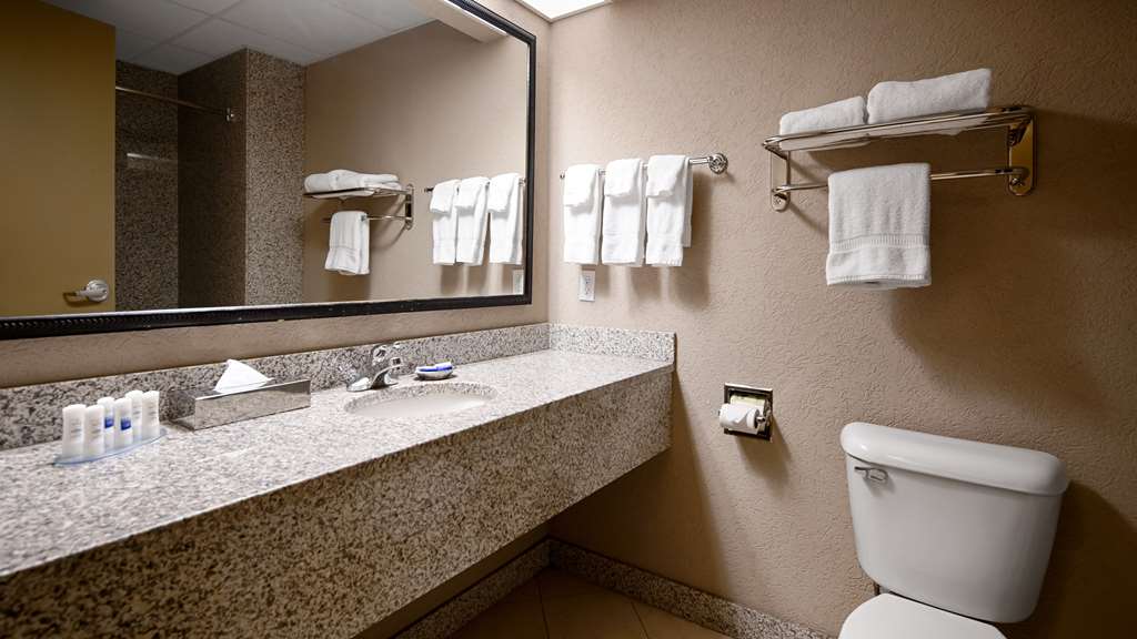 Best Western Plus Sandusky Hotel & Suites - photo 39