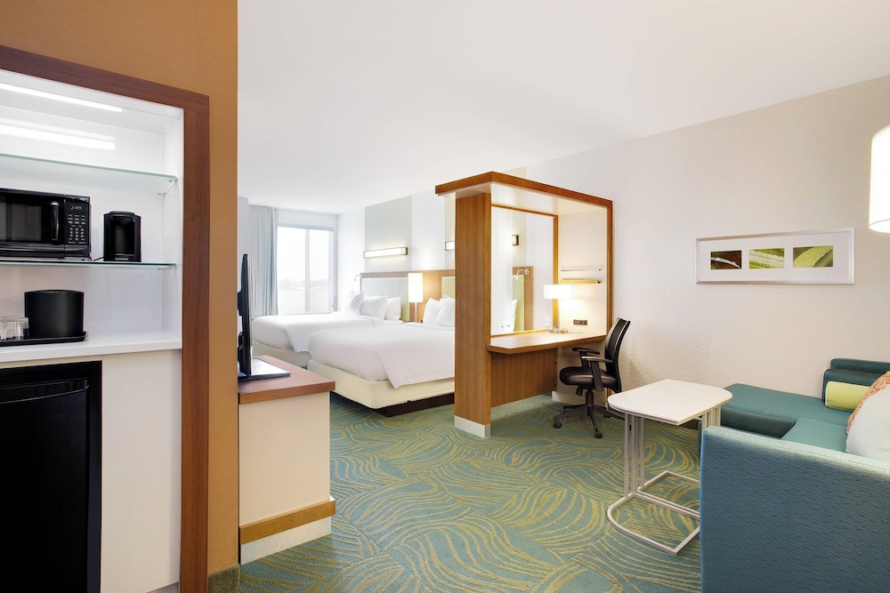 SpringHill Suites by Marriott Murray - photo 6