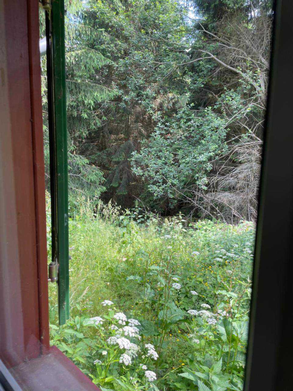 Hexenhaus Im Jagdhof Carlshaus — Wernigerode