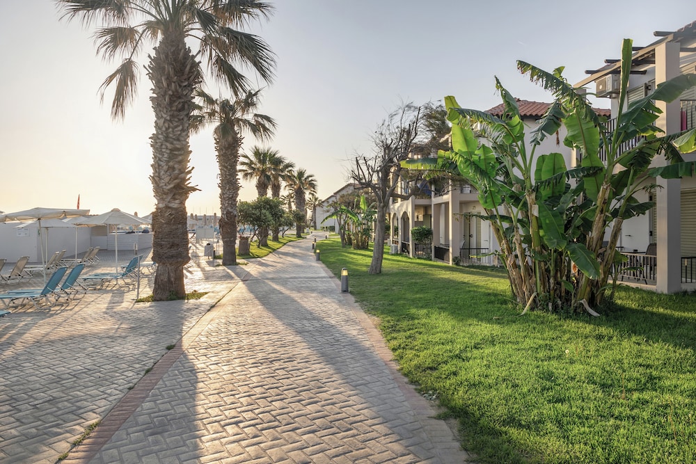 מראה חיצוני