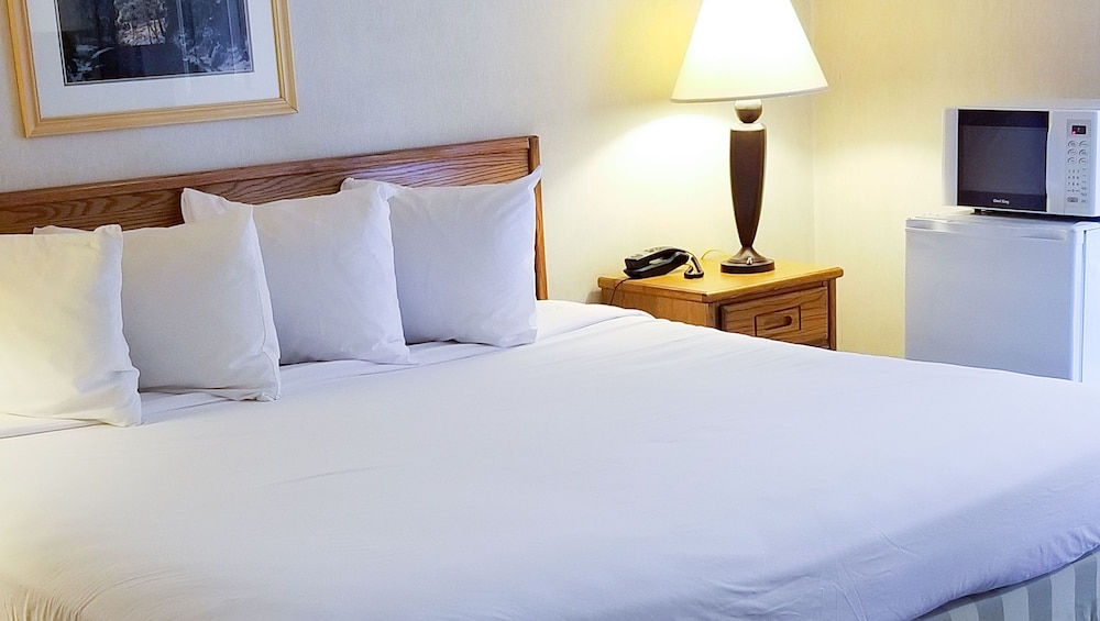 Magnuson Hotel Ely - photo 13