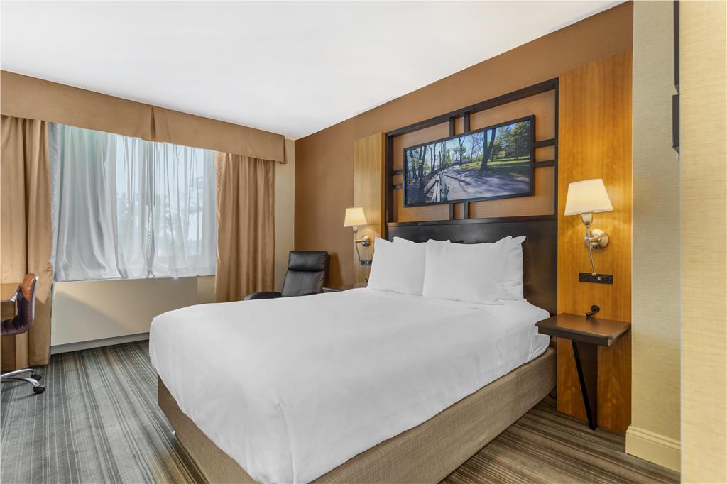 Best Western Queens Gold Coast - photo 15