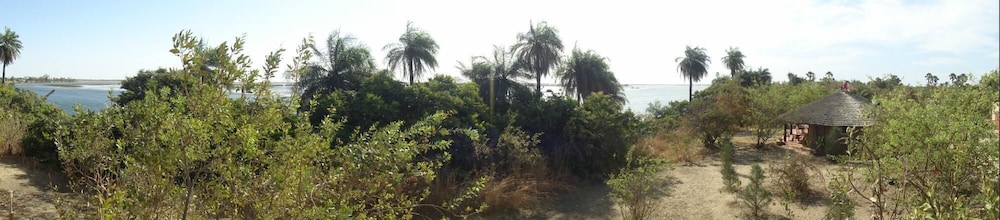 La Source Lamentin — Fatick — photo 5