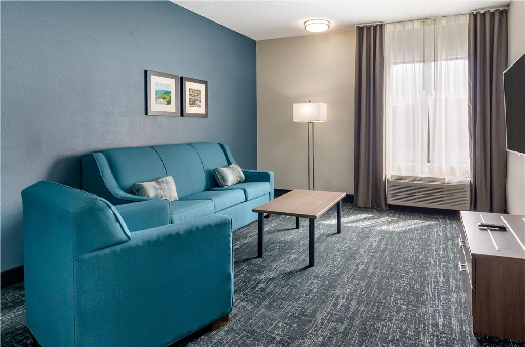 Comfort Inn & Suites Troutville Roanoke North - photo 17