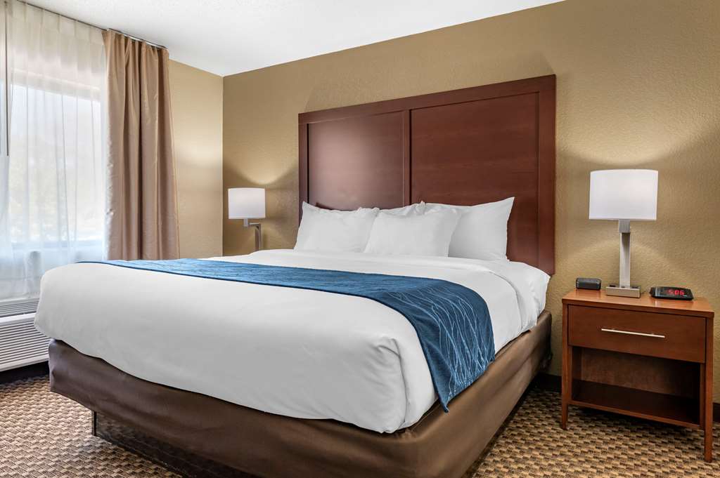 Comfort Inn Near Kokomo Speedway - photo 33