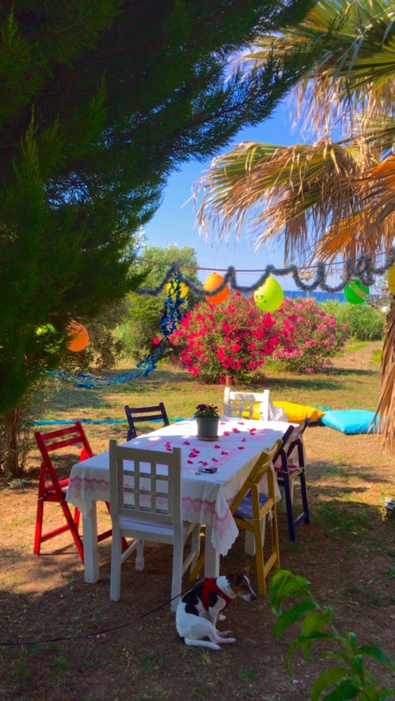 Merve Bağ Evi Pansiyon in Bozcaada, Turkey