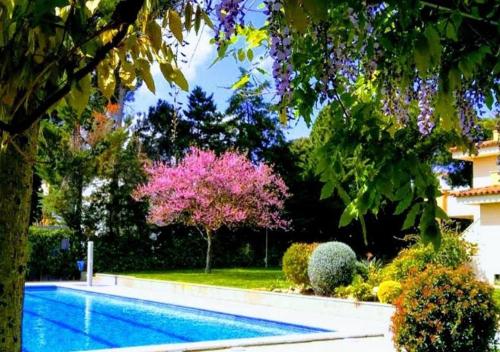 Stil Mar Anna Terra Planta Baja con Jardín y tenis by Stil Mar Anna — 4-Star Luxury Hotel in L'escala, Spain