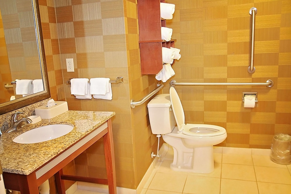 Hampton Inn Detroit Auburn Hills North - photo 29