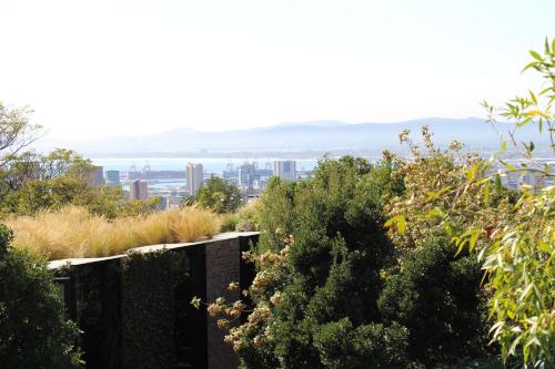 Sanctuary Studio - carbon neutral hotel in Cape Town
