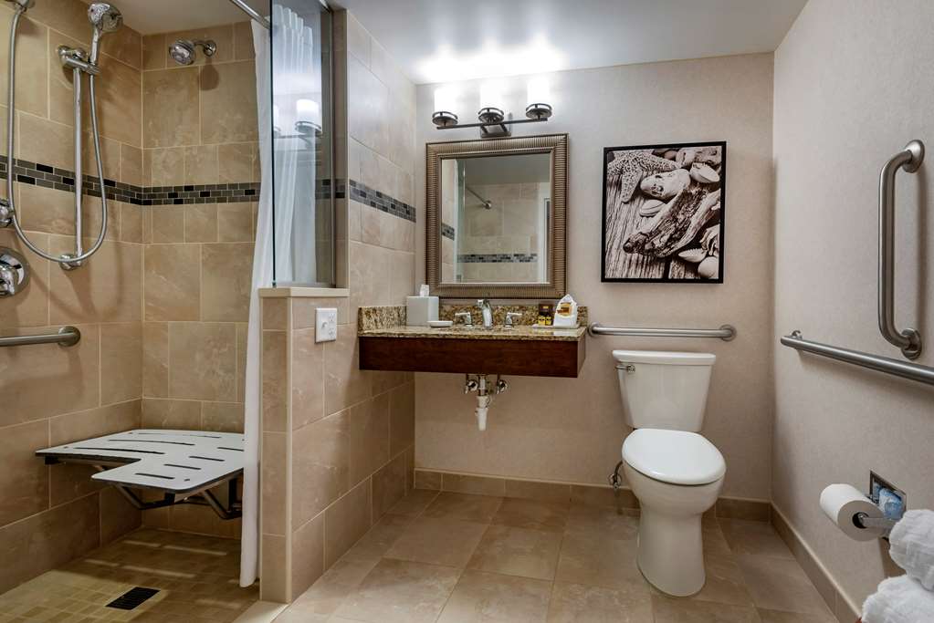 Best Western Plus Oswego Hotel and Conference Center - photo 44
