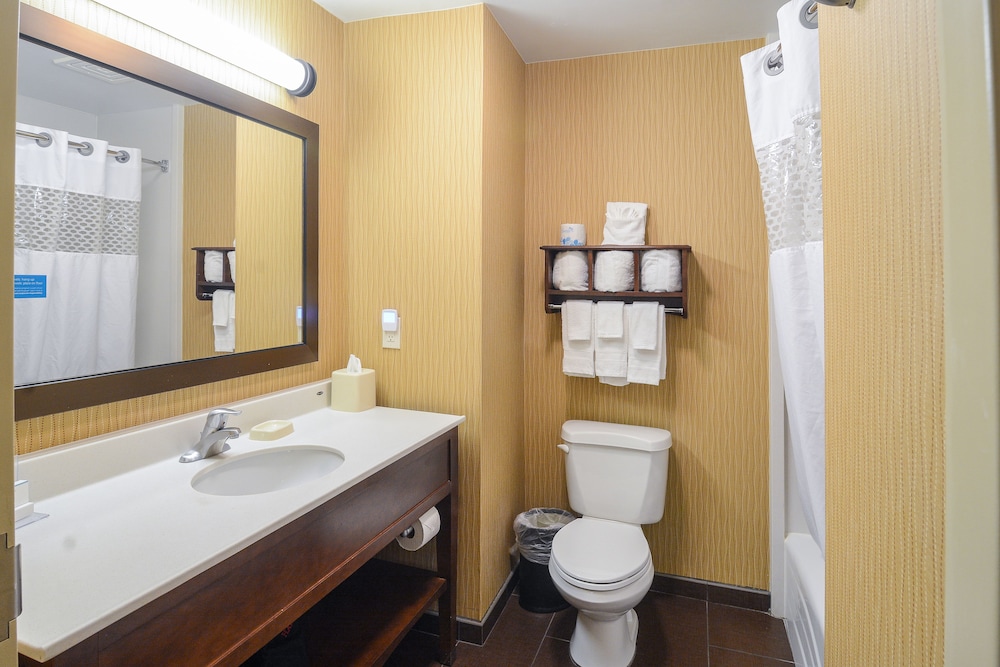 Hampton Inn & Suites Tampa North - photo 32
