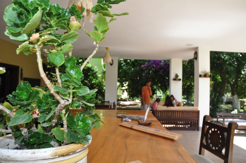 San Simon Hotel — Kemer — photo 4