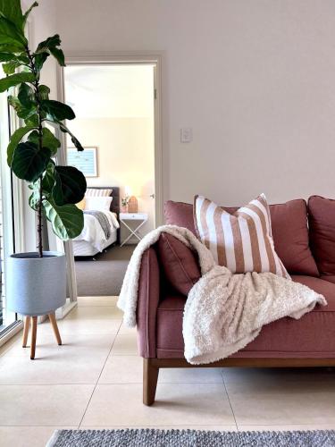 Vita Lenta 3 Bed 2 Bath in Tanunda, Australia