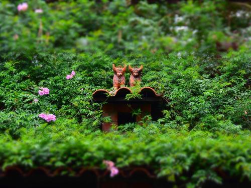 Ruby Residency - carbon neutral hotel in Canacona