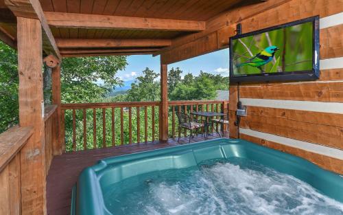 A Mountain Hibernation - last minute hotel in Sevierville