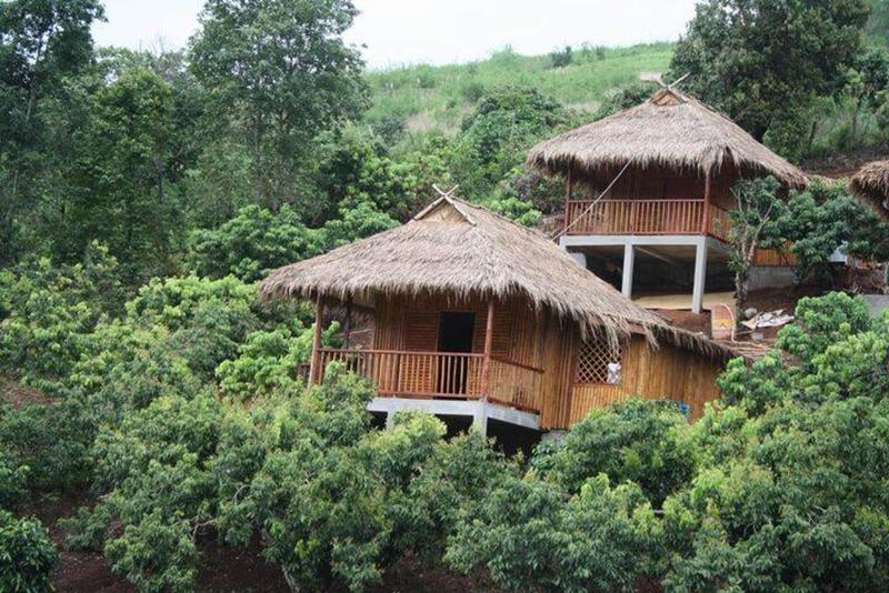 Wawee Strawberry House 11682473 — Mae Suai