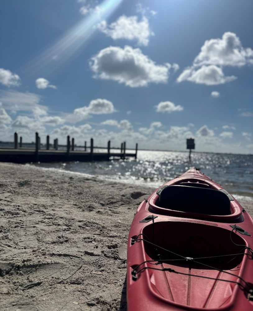 Sip And Sea — Bradenton — photo 2