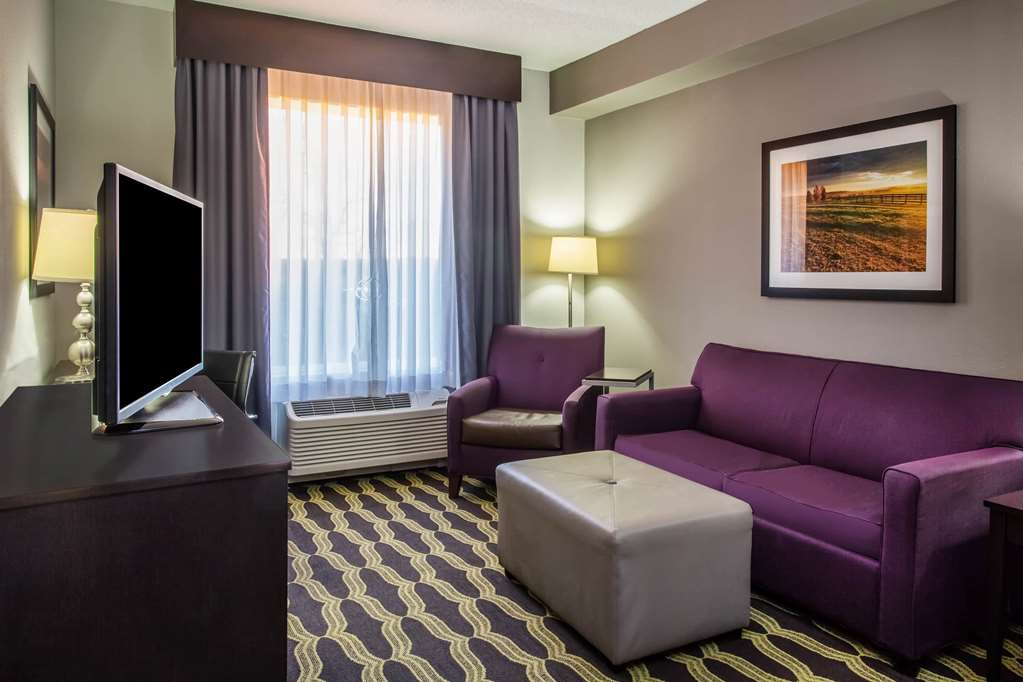 La Quinta Inn & Suites by Wyndham Lynchburg at Liberty Univ. - photo 38