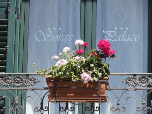 Sorge Palace - carbon neutral hotel in Mussomeli