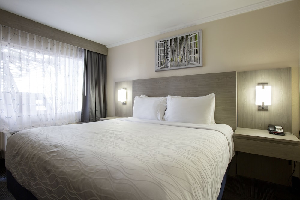 Hotel Aspen InnSuites Flagstaff Grand Canyon - photo 20