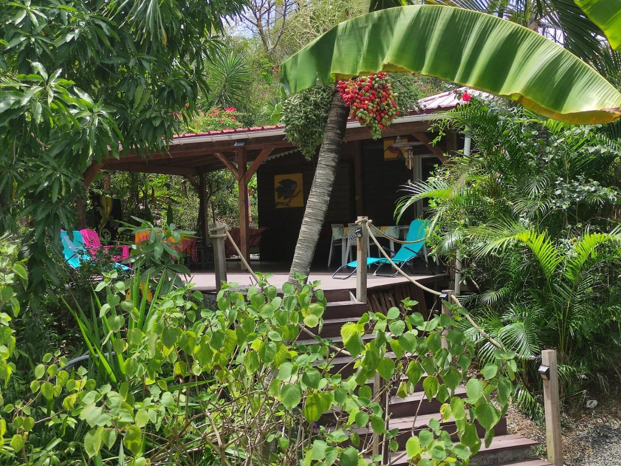 Hébergement Bouillante Petite Anse 100m plage in Bouillante, Guadeloupe