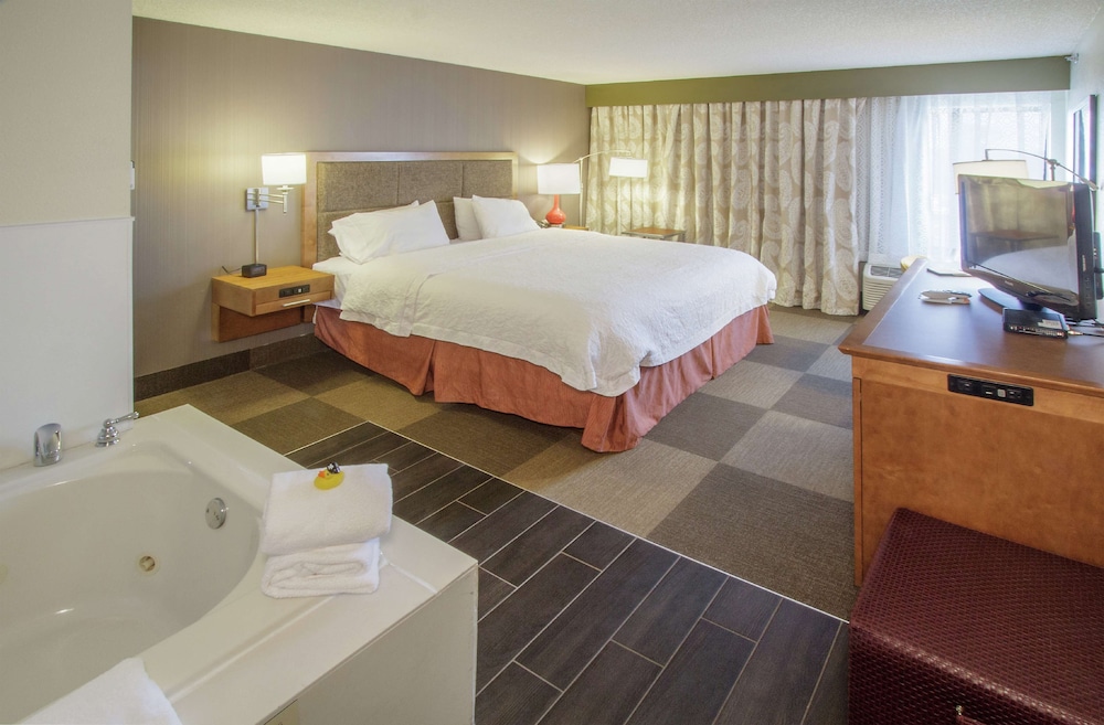 Hampton Inn South Haven - photo 22