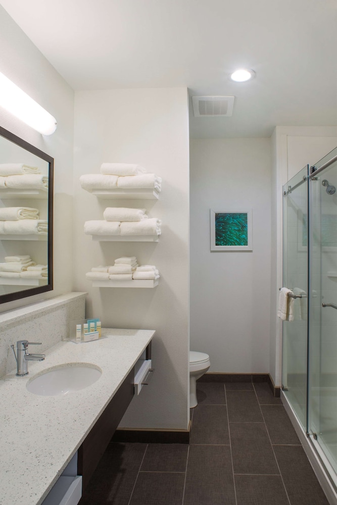 Hampton Inn Gulf Shores - photo 14