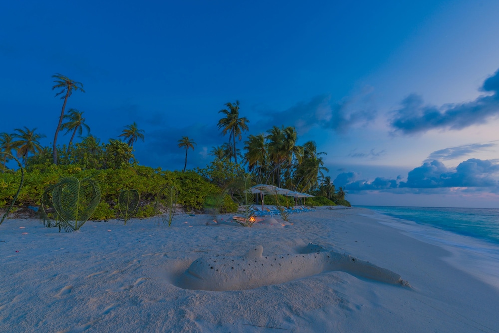 Outdoor wedding area