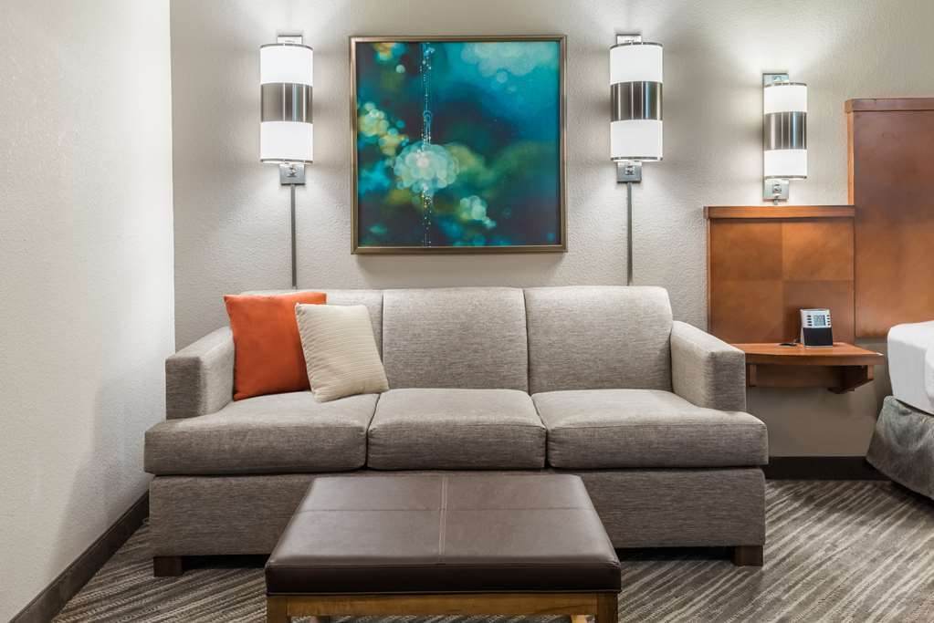 Hyatt Place Atlanta Duluth Johns Creek - photo 19