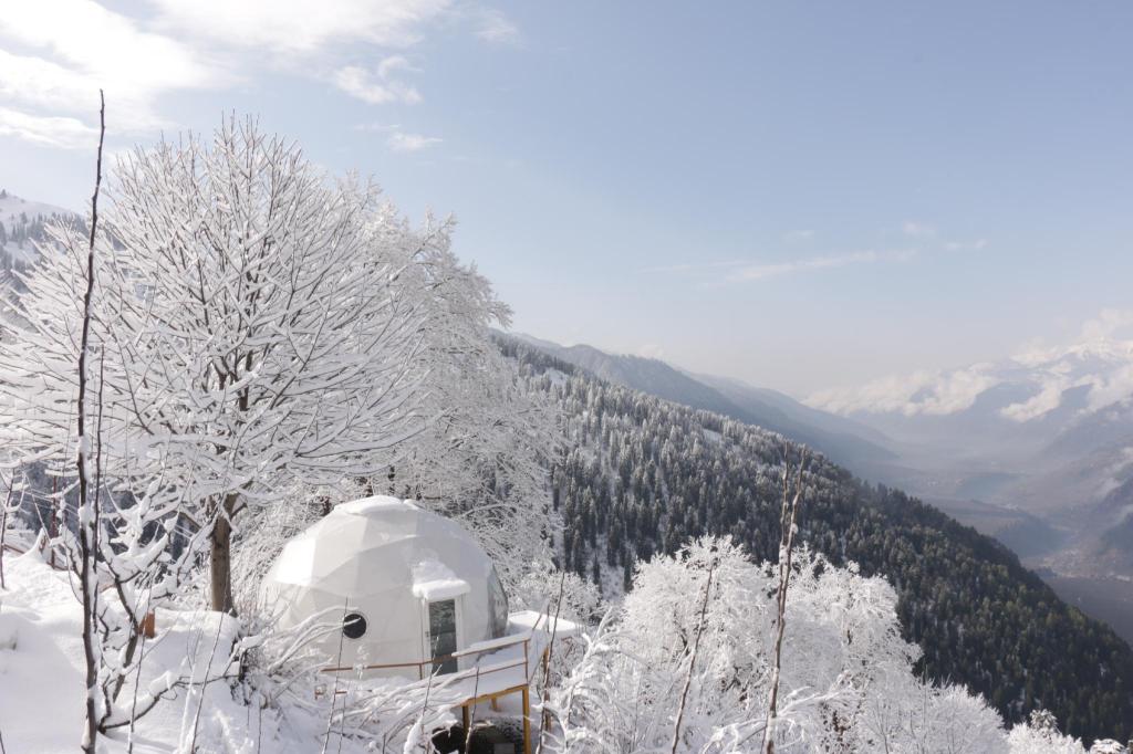 GlampEco Manali - carbon neutral hotel in Manali