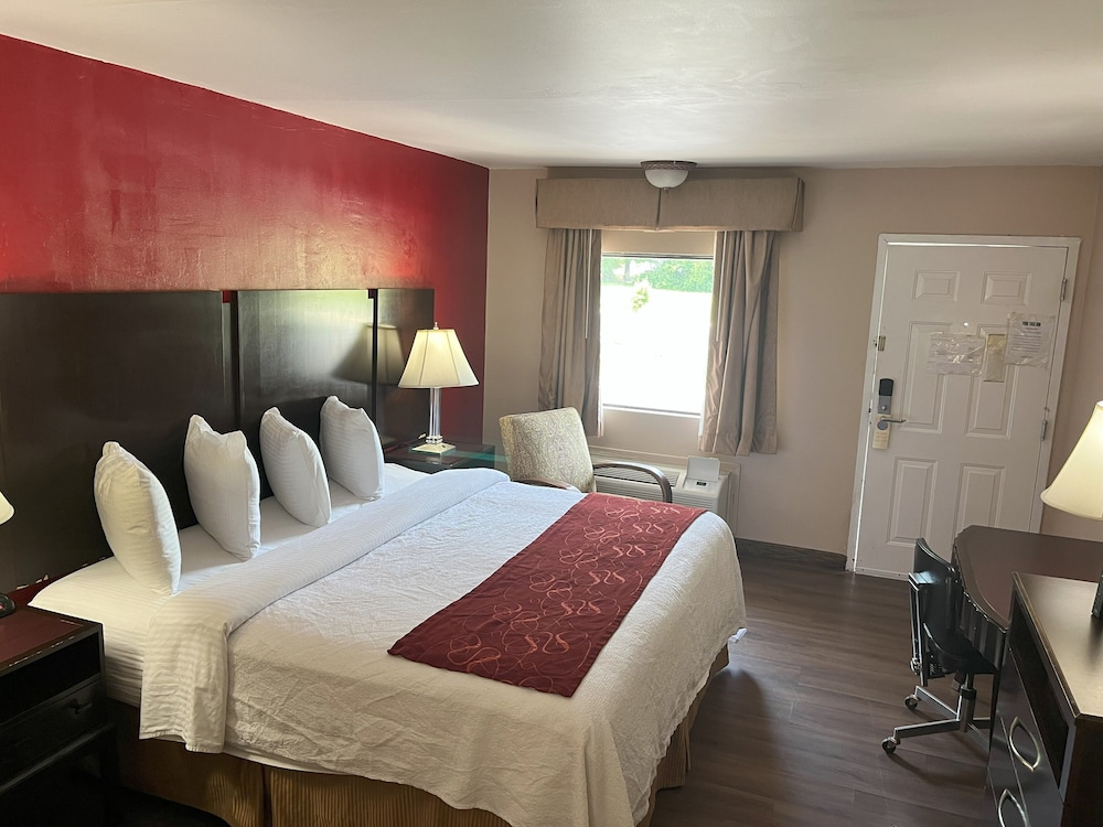 Pine Tree Inn - photo 13