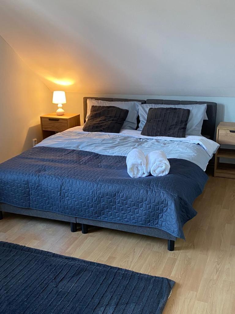 Amonit in Olsztyn, Poland