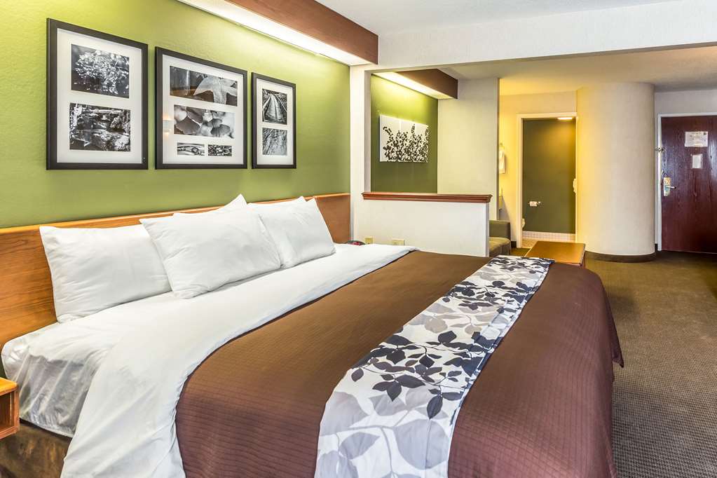 Sleep Inn & Suites Bay View Acme Travers City - photo 23
