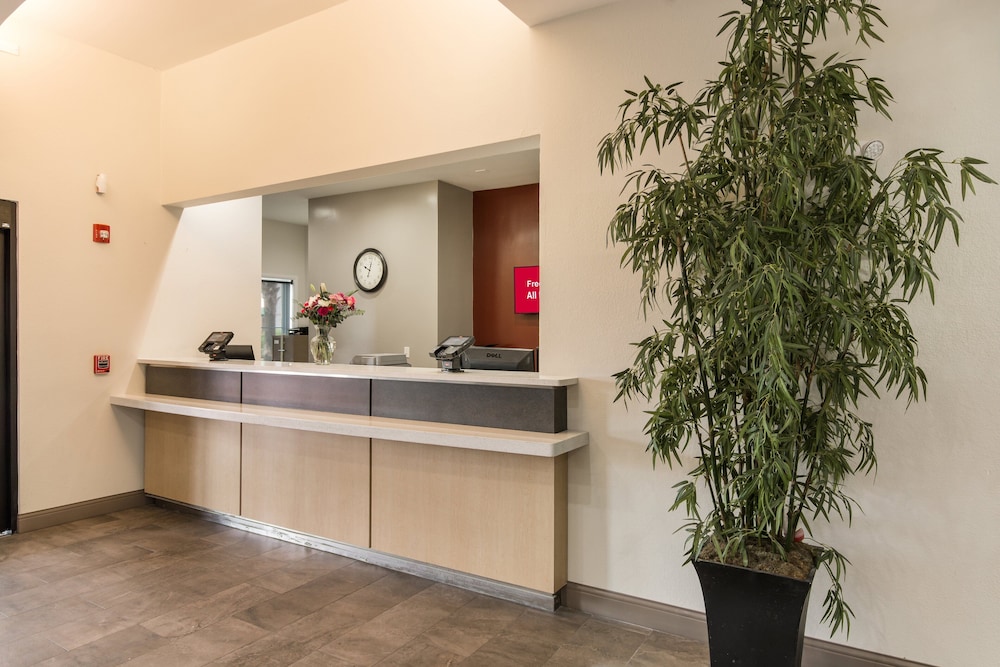 Red Roof Inn Panama City - photo 3