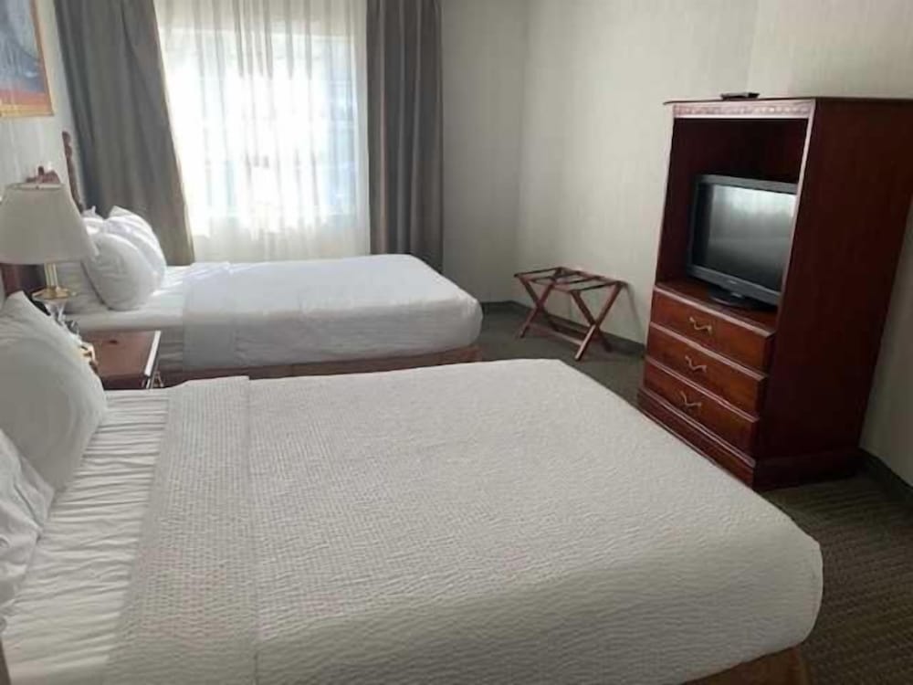 Host Inn All Suites - photo 7