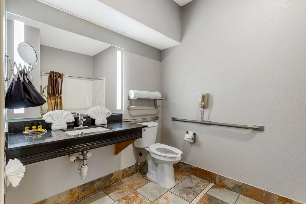 Best Western Plus Des Moines West Inn & Suites - photo 18