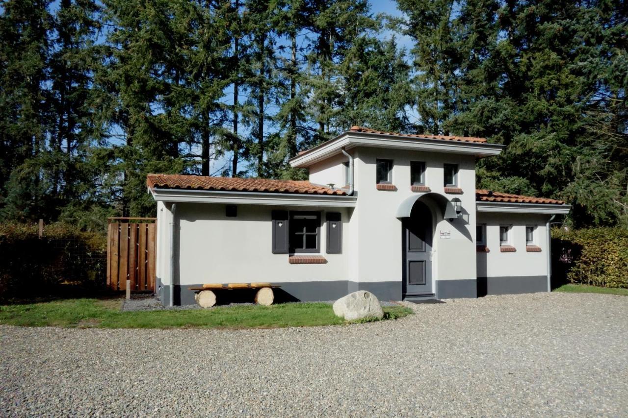 Villa Mar veluwe — Ermelo — photo 2