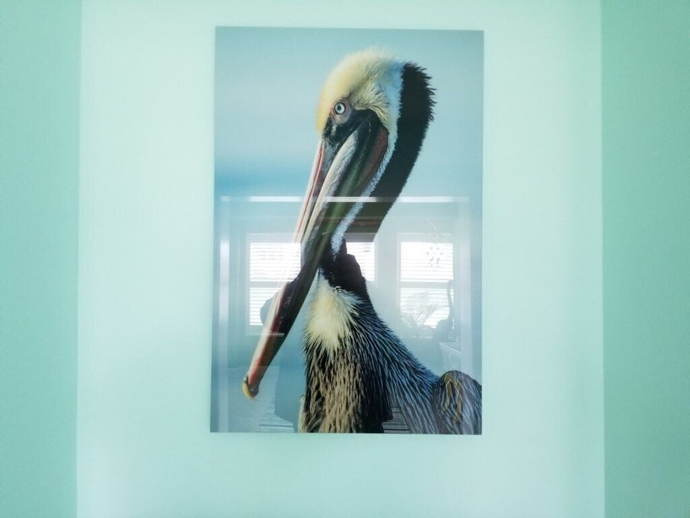 Rusty Pelican - photo 25
