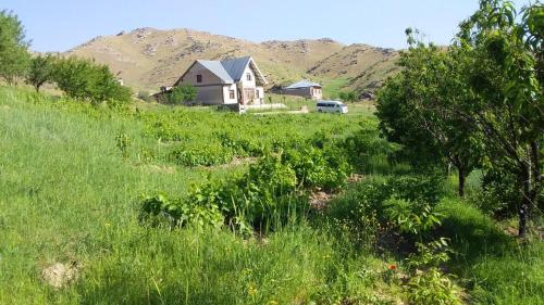 Le Fortin - carbon neutral hotel in Samarkand