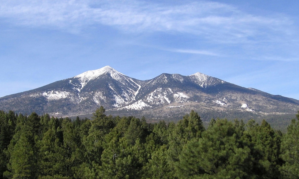 Fairfield Inn & Suites by Marriott Flagstaff Northeast - photo 43