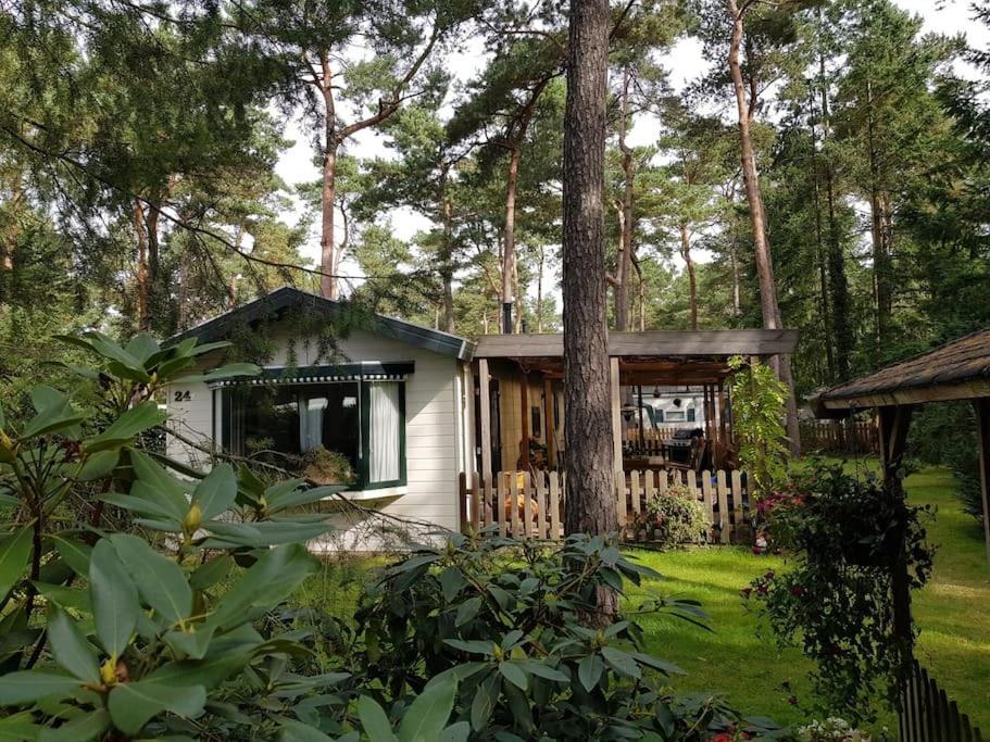 Mooi Chalet Met Grote Tuin Op Een 4 Sterren Park 17716263 — Doornspijk