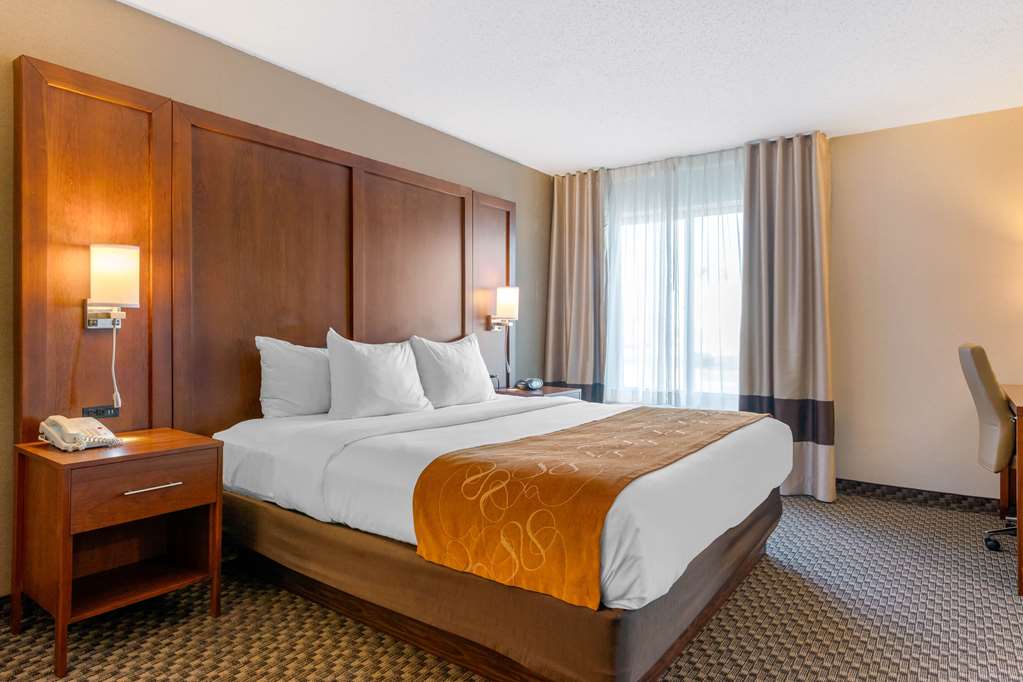 Comfort Suites South Haven near I 96 - photo 8