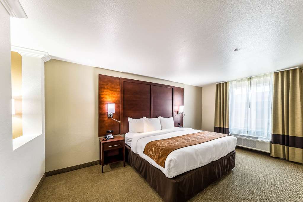 Comfort Suites Grand Prairie Arlington North - photo 25