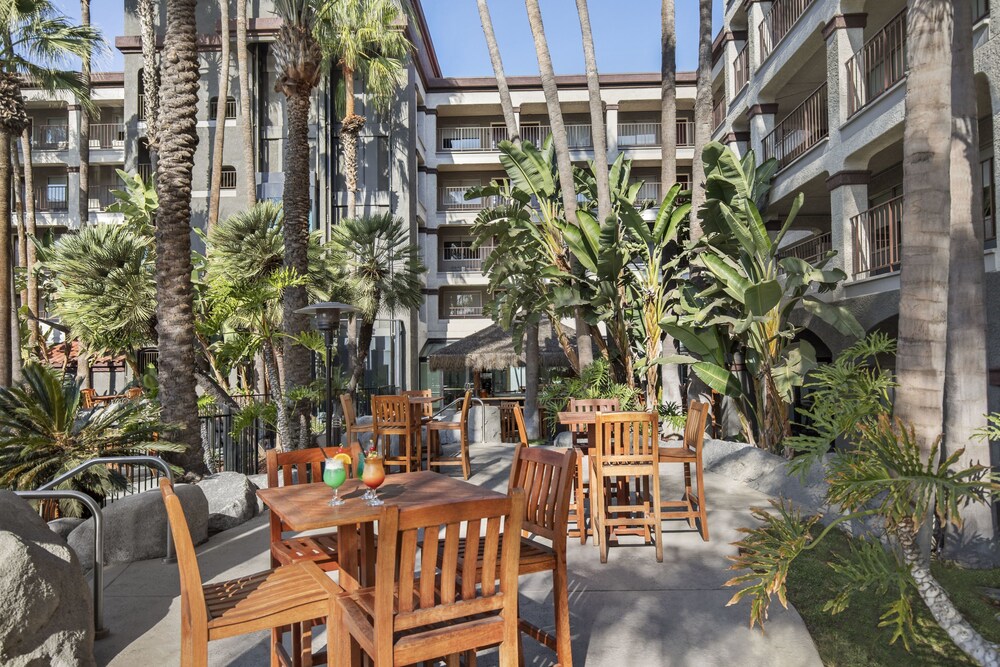 Four Points by Sheraton Anaheim - photo 33