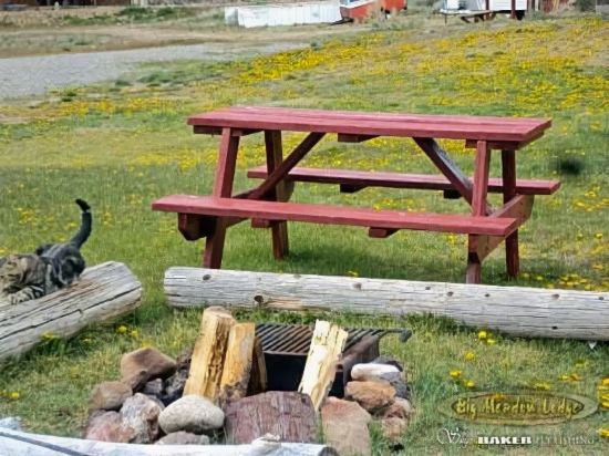 Big Meadow Lodge - photo 6