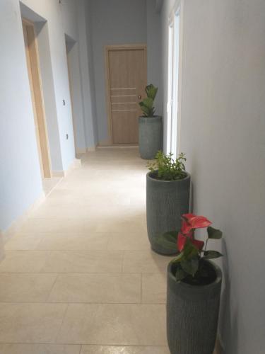 Menta — Litochoro — photo 5